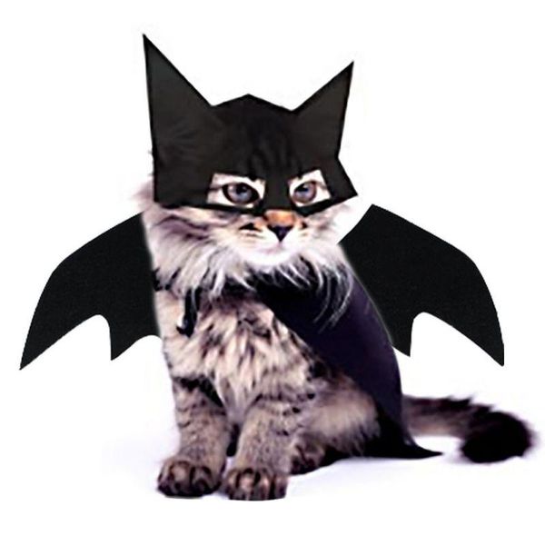 cat costumes 2pcs halloween pet clothes black bat wings harness costume for cosplay dog party stlye
cat costumes 2pcs halloween pet clothes black bat wings harness costume for cosplay dog party stlye