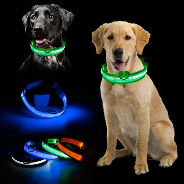 dog collars & leashes flashing glowing gem light led supplies products pet collar adjustable small luminous safety
dog collars & leashes flashing glowing gem light led supplies products pet collar adjustable small luminous safety