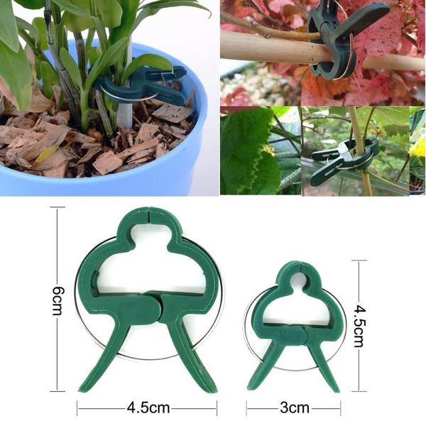 other garden supplies 20pcs clip set plant support with zinc reusable clamps for plants hanging vine greenhouse vegetables tomatoes
other garden supplies 20pcs clip set plant support with zinc reusable clamps for plants hanging vine greenhouse vegetables tomatoes