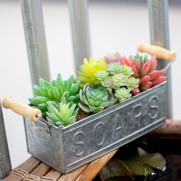 flow ers garden twine handles iron vase succulent plant container balcony decor retro b ucket metal planters & pots
flow ers garden twine handles iron vase succulent plant container balcony decor retro b ucket metal planters & pots