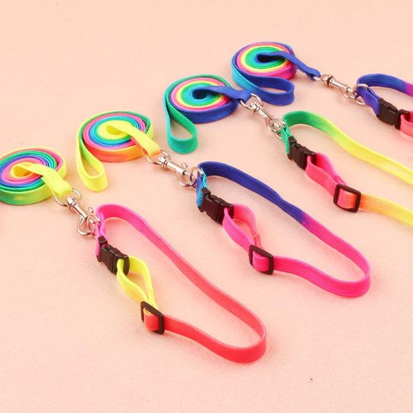 dog collars & leashes colorful rainbow pet collar harness leash soft walking lead and durable traction rope nylon 120cm
dog collars & leashes colorful rainbow pet collar harness leash soft walking lead and durable traction rope nylon 120cm