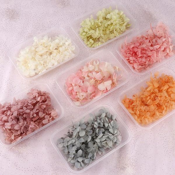 zerolife 22g/box natural decorative dried flowers small leaves hydrangea flower heads for diy real eternal life material & wreaths
zerolife 22g/box natural decorative dried flowers small leaves hydrangea flower heads for diy real eternal life material & wreaths