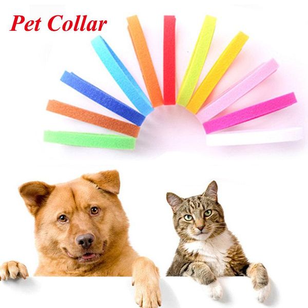 dog collars & leashes 1pcs/lot dog's puppy kitten identification collar whelping id bands for small dogs cats pet supplies
dog collars & leashes 1pcs/lot dog's puppy kitten identification collar whelping id bands for small dogs cats pet supplies