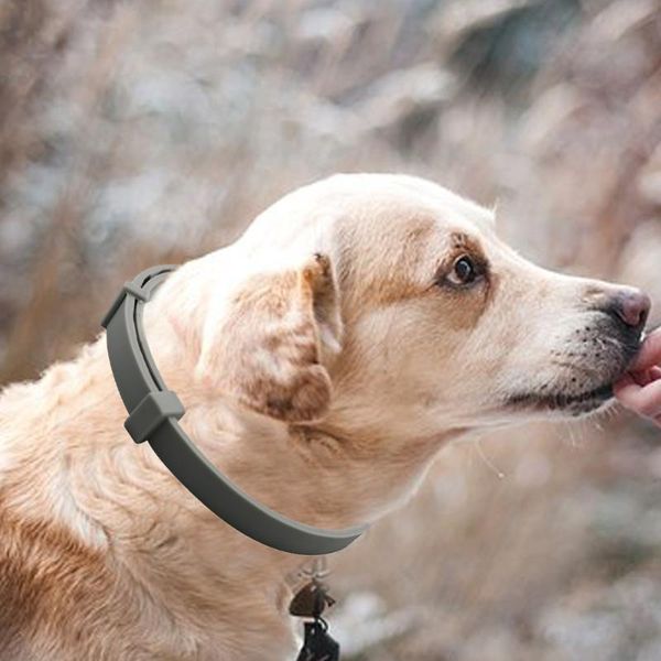 dog collars & leashes pet collar supplies insect repellent flea dogs and cats remove aluminum box decoration gift
dog collars & leashes pet collar supplies insect repellent flea dogs and cats remove aluminum box decoration gift