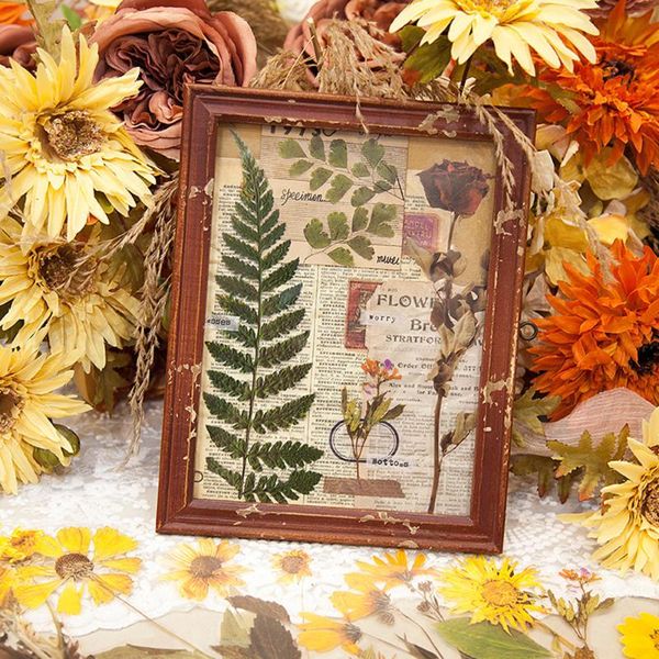 plant diary diy material stickers 8 designs 6 sheets flowers decor scrapbooking garden planter craft gift wrap
plant diary diy material stickers 8 designs 6 sheets flowers decor scrapbooking garden planter craft gift wrap