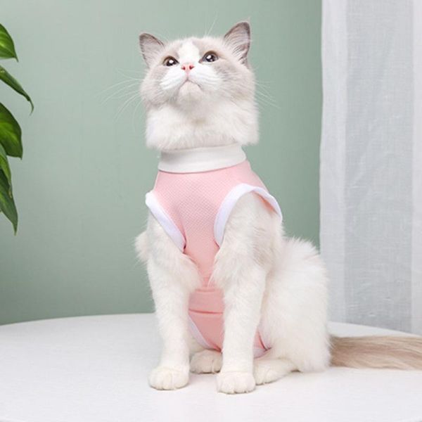 cat costumes sterilization suit pet anti-licking recovery clothes posrative vest clothing weaning
cat costumes sterilization suit pet anti-licking recovery clothes posrative vest clothing weaning