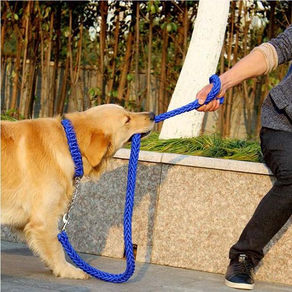 dog collars & leashes labrador pet breast-band collar with leash traction strong rope set for big walking dogs
dog collars & leashes labrador pet breast-band collar with leash traction strong rope set for big walking dogs