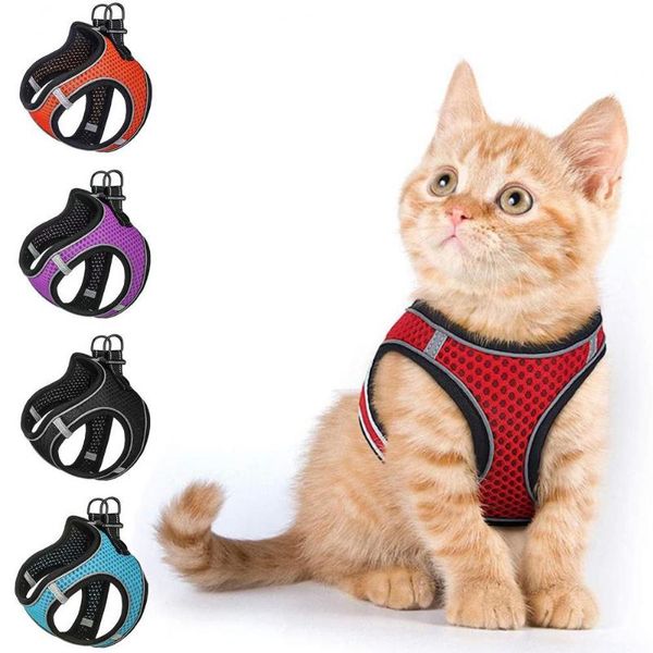 cat collars & leads soft texture premium pet cats training harness firm reflective stripes accessories 
cat collars & leads soft texture premium pet cats training harness firm reflective stripes accessories