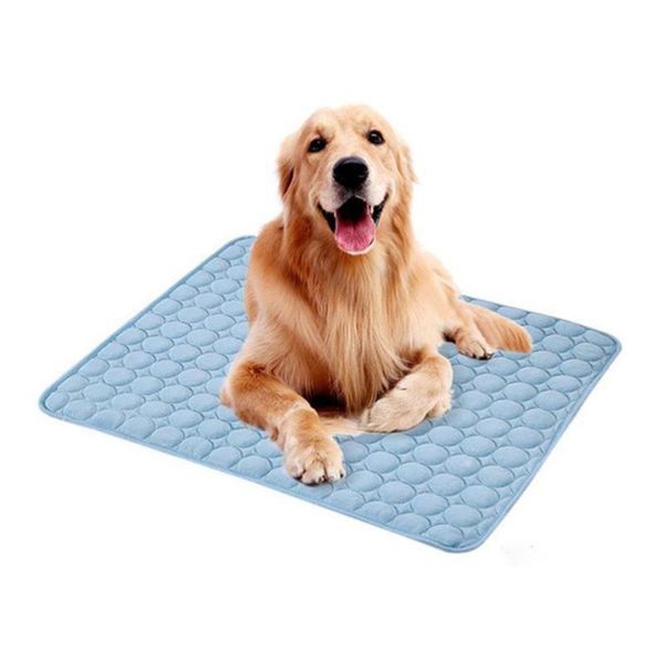 kennels & pens pet summer cooling blanket breathable dogs cats sleeping mat cool pad (blue 50 x 40cm)
kennels & pens pet summer cooling blanket breathable dogs cats sleeping mat cool pad (blue 50 x 40cm)