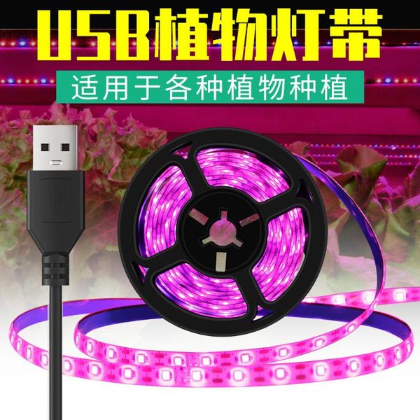 strips plant growth led lights light full spectrum room decor waterproof strip usb flower succulent planting
strips plant growth led lights light full spectrum room decor waterproof strip usb flower succulent planting