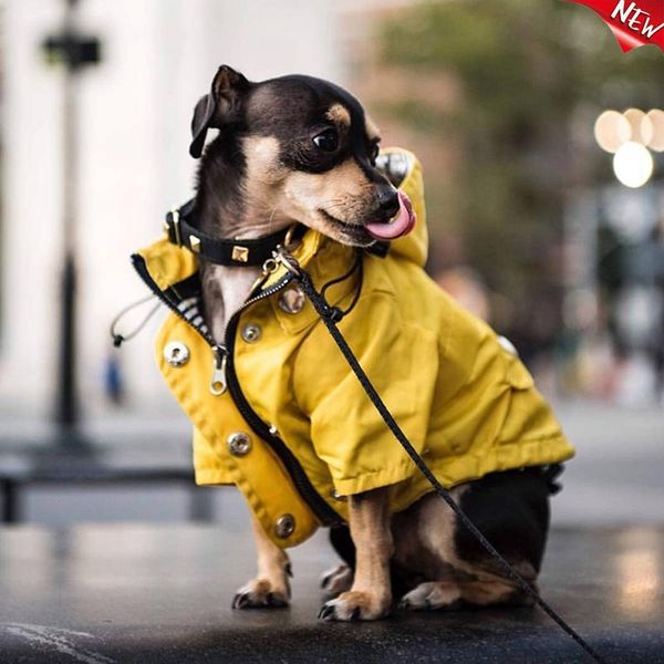 pet dog clothes for small medium dogs waterproof puppy raincoat fashion cool jacket coat windproof outfit supplie apparel
pet dog clothes for small medium dogs waterproof puppy raincoat fashion cool jacket coat windproof outfit supplie apparel
