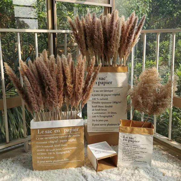 natural dryness 15pcs dried giant reed grass decor wedding flower bunch plants stems for home christmas decoration craft decorative flowers
natural dryness 15pcs dried giant reed grass decor wedding flower bunch plants stems for home christmas decoration craft decorative flowers