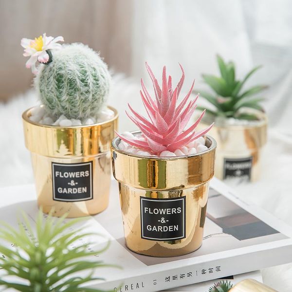 nordic ins simulation succulent cactus plant creative deskliving room decoration green potted plants decorative flowers & wreaths
nordic ins simulation succulent cactus plant creative deskliving room decoration green potted plants decorative flowers & wreaths