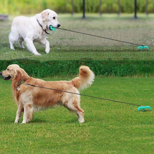 in 1 pet leashes portable dog rope peg stretch durable ground stake fixed pile molar ball outdoor training supplies collars &
in 1 pet leashes portable dog rope peg stretch durable ground stake fixed pile molar ball outdoor training supplies collars &