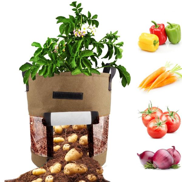 planters & pots plant grow bags thickened nonwoven fabric potato bag with handle straps
planters & pots plant grow bags thickened nonwoven fabric potato bag with handle straps