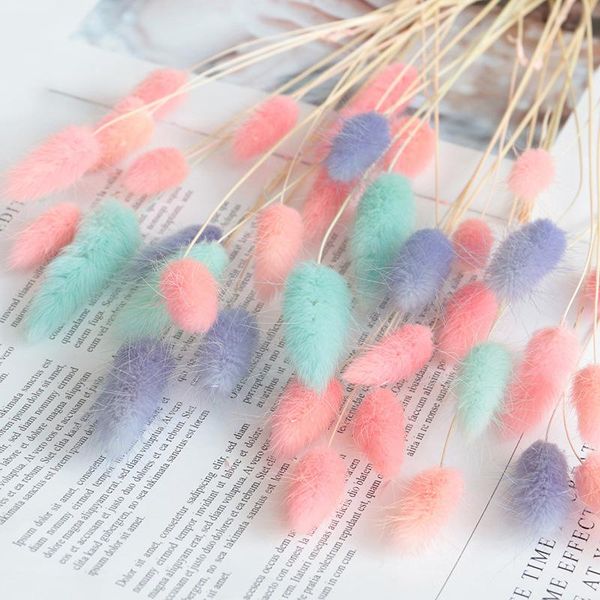 decorative flowers & wreaths 20pcs natural dried lagurus white artificial colorful fake tail grass ovatus foxtail bouquet long bunche
decorative flowers & wreaths 20pcs natural dried lagurus white artificial colorful fake tail grass ovatus foxtail bouquet long bunche