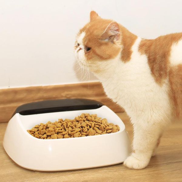 pet smart weighing bowl reasonable and feeding available for both cats dogs lcd screen displays weight cat bowls & feeders
pet smart weighing bowl reasonable and feeding available for both cats dogs lcd screen displays weight cat bowls & feeders
