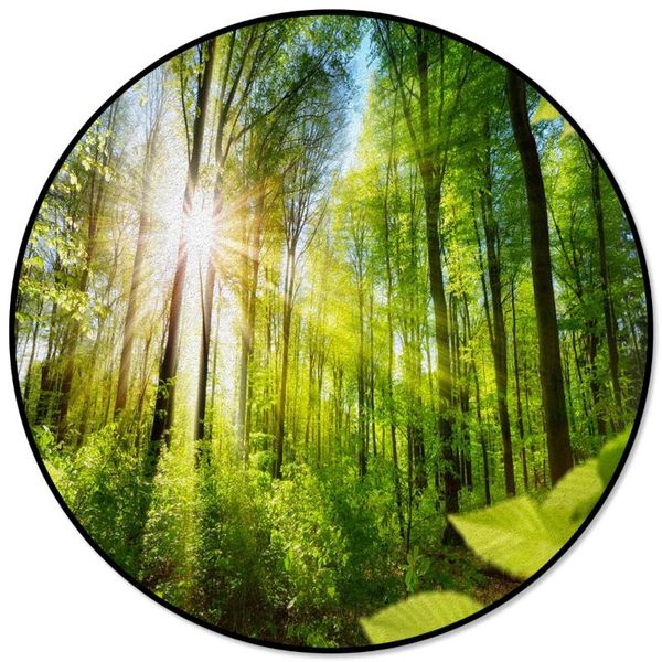 carpets green forest natural landscape printed large round for living room bedroom area rugs soft home decor rug kitchen mats
carpets green forest natural landscape printed large round for living room bedroom area rugs soft home decor rug kitchen mats