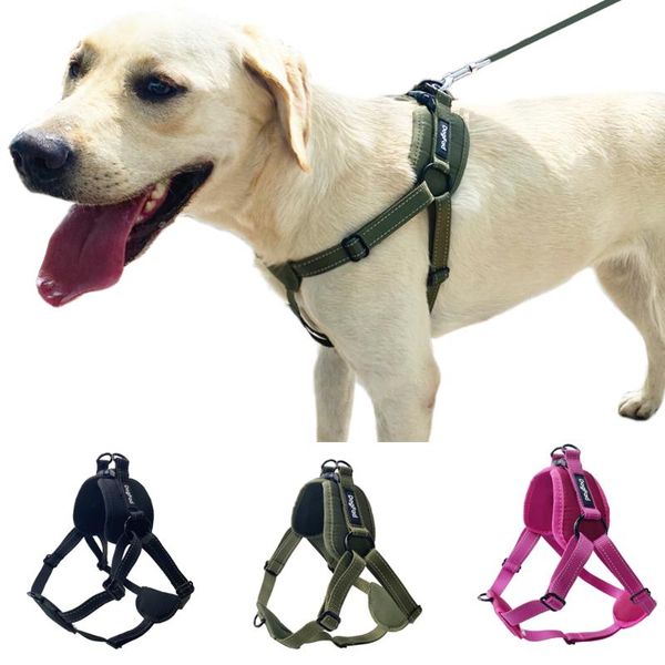dog collars & leashes harness no pull, adjustable reflective oxford outdoor vest, front/back leash clips for small, medium large,easy walk
dog collars & leashes harness no pull, adjustable reflective oxford outdoor vest, front/back leash clips for small, medium large,easy walk