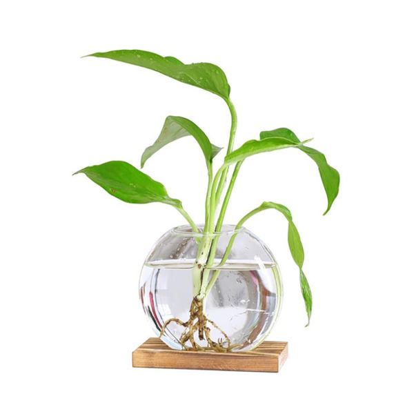 decorative flowers & wreaths nordic mini simple glass clear flower vase plant bottle hydroponic terrarium container holder with wood stand t
decorative flowers & wreaths nordic mini simple glass clear flower vase plant bottle hydroponic terrarium container holder with wood stand t