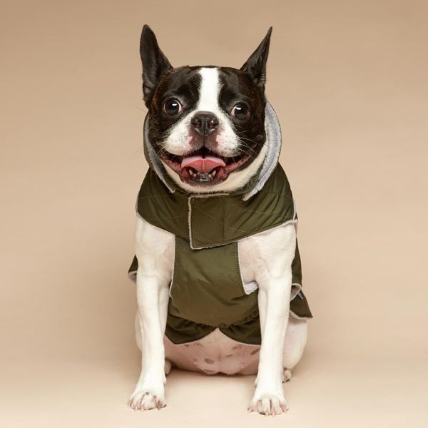 dog apparel medium and large clothes padded jacket autumn winter keep warm hoodie coats accessories
dog apparel medium and large clothes padded jacket autumn winter keep warm hoodie coats accessories