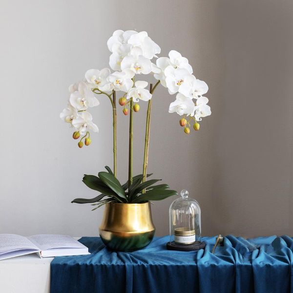 decorative flowers & wreaths 2x3d (67cm) plastic butterfly orchid vases for home decor wedding plants christmas gifts box artificial plant
decorative flowers & wreaths 2x3d (67cm) plastic butterfly orchid vases for home decor wedding plants christmas gifts box artificial plant