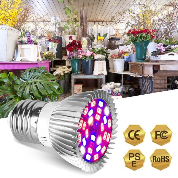 grow lights led light full spectrum 78leds 120leds 150leds e27 growing bulb for indoor hydroponics flowers plants growth lamp
grow lights led light full spectrum 78leds 120leds 150leds e27 growing bulb for indoor hydroponics flowers plants growth lamp
