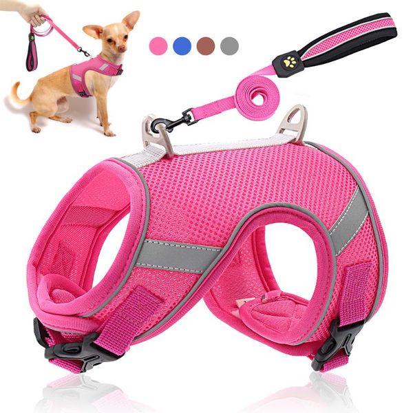 dog collars & leashes breathable mesh cat harness leash set reflective nylon puppy vest adjustable walking lead for small medium dogs cats
dog collars & leashes breathable mesh cat harness leash set reflective nylon puppy vest adjustable walking lead for small medium dogs cats