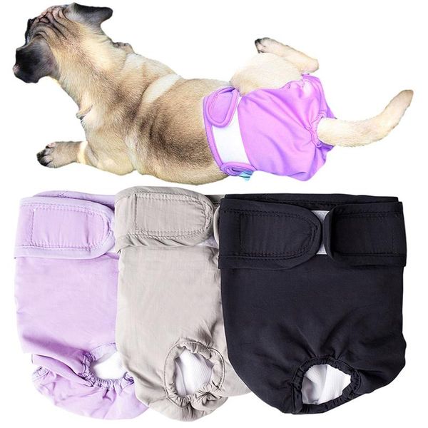 dog apparel pet physiological pants waterproof menstrual big aunt underpants j7a7573
dog apparel pet physiological pants waterproof menstrual big aunt underpants j7a7573