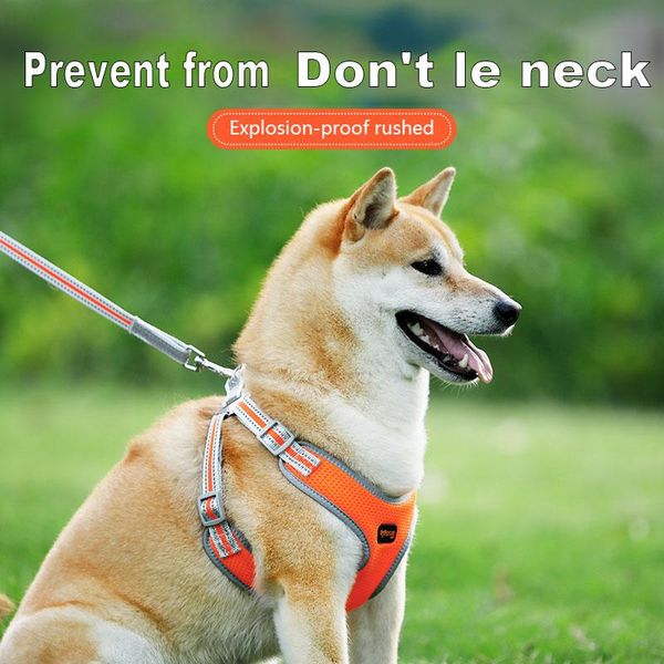 dog collar tie pet leash medium-sized puppy teddy vest chest safety running training collars & leashes
dog collar tie pet leash medium-sized puppy teddy vest chest safety running training collars & leashes
