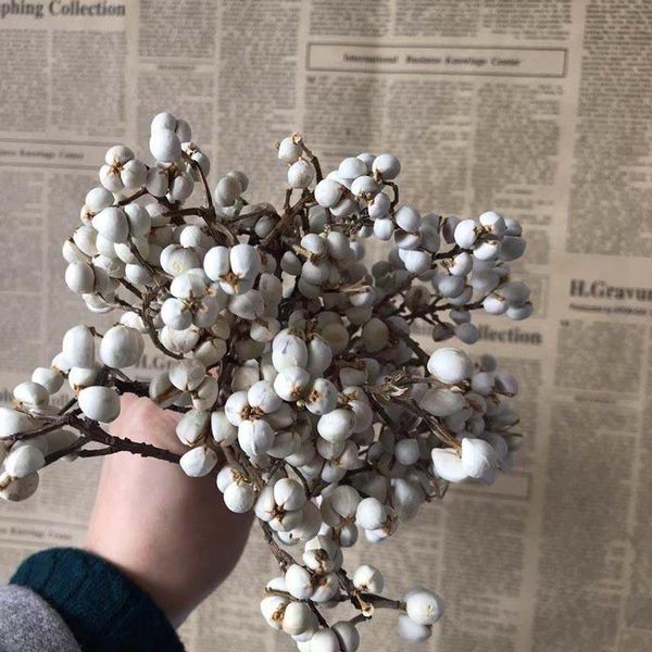 decorative flowers & wreaths about 50g/10~17cm real mini fruit,natural dried small flower bouquet white fruits for home decor,weddinng decor
decorative flowers & wreaths about 50g/10~17cm real mini fruit,natural dried small flower bouquet white fruits for home decor,weddinng decor