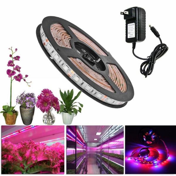 strips dc 12v smd led plant grow light 1m 2m 5m strip for aquarium greenhouse hydroponic growing with power
strips dc 12v smd led plant grow light 1m 2m 5m strip for aquarium greenhouse hydroponic growing with power