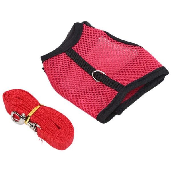cat collars & leads leash collar personalized harness with lead adjustable and soft pet walking for rabbits small animals
cat collars & leads leash collar personalized harness with lead adjustable and soft pet walking for rabbits small animals