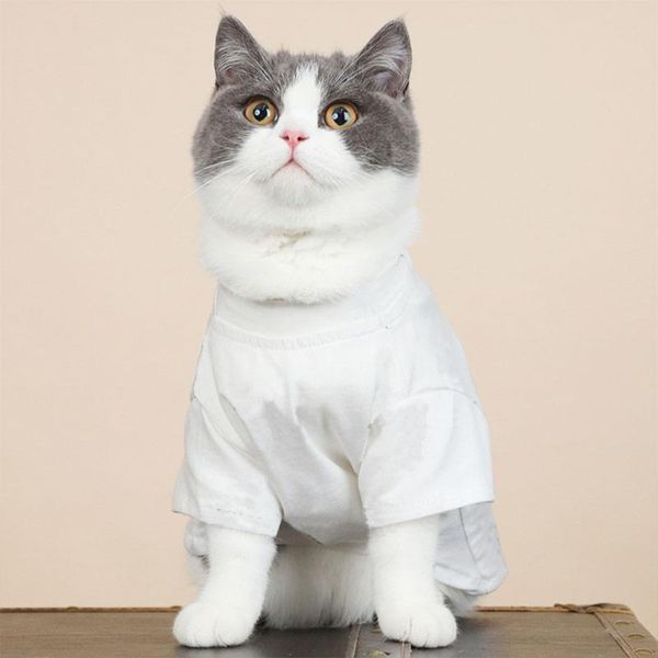 dog apparel small puppy tshirt pet clothes for dogs clothing chihuahua tee summer soft thin sweatshirt accessories pc2051
dog apparel small puppy tshirt pet clothes for dogs clothing chihuahua tee summer soft thin sweatshirt accessories pc2051