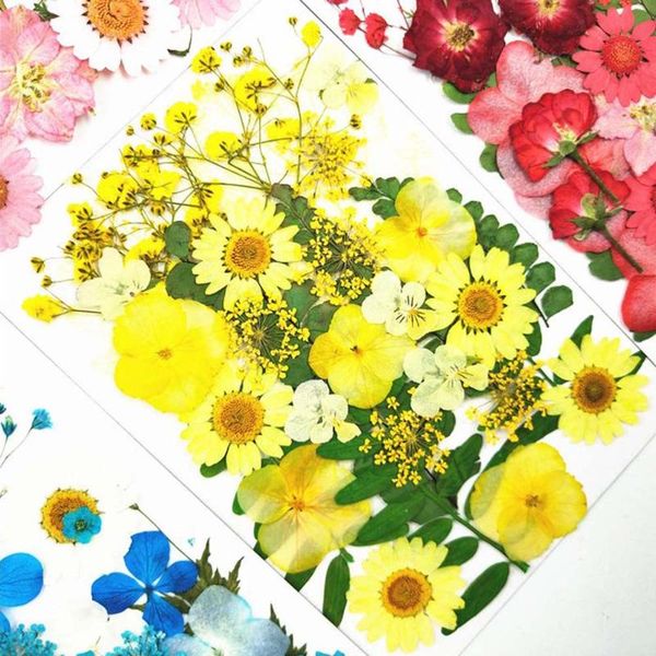 1pack dried flower real pressed flowers floral for diy epoxy resin jewelry arts crafts decorative & wreaths
1pack dried flower real pressed flowers floral for diy epoxy resin jewelry arts crafts decorative & wreaths