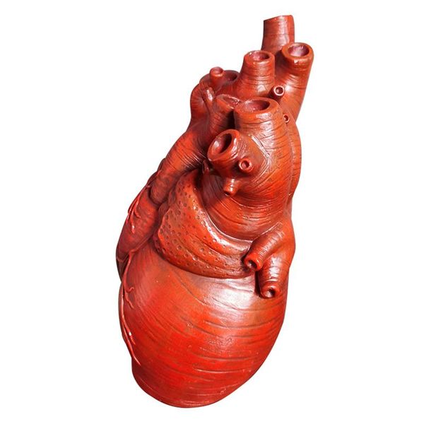 vases home decor ornament bloem hart vorm gedroogde bloemen containrs bloempot kunst vazen hars lichaam sculptuur deskplant
vases home decor ornament bloem hart vorm gedroogde bloemen containrs bloempot kunst vazen hars lichaam sculptuur deskplant