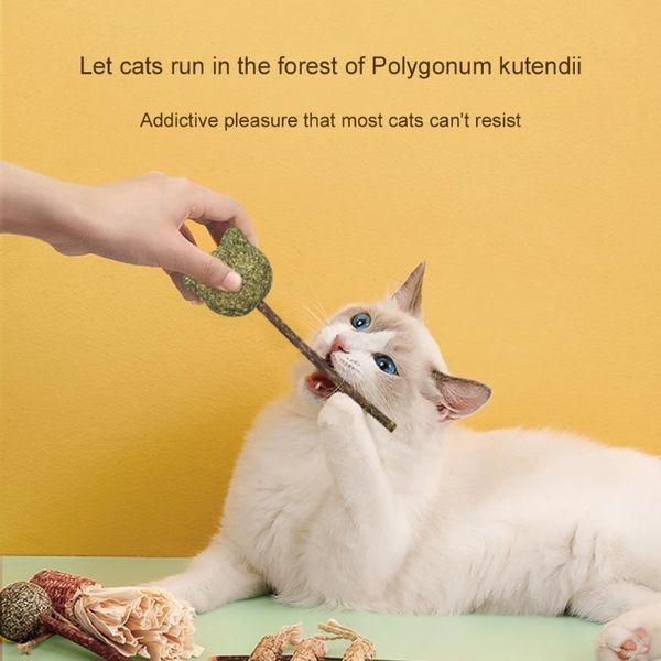 cat toys bite resistant cleaning teeth molar treat lollipop pet playing products accessories
cat toys bite resistant cleaning teeth molar treat lollipop pet playing products accessories