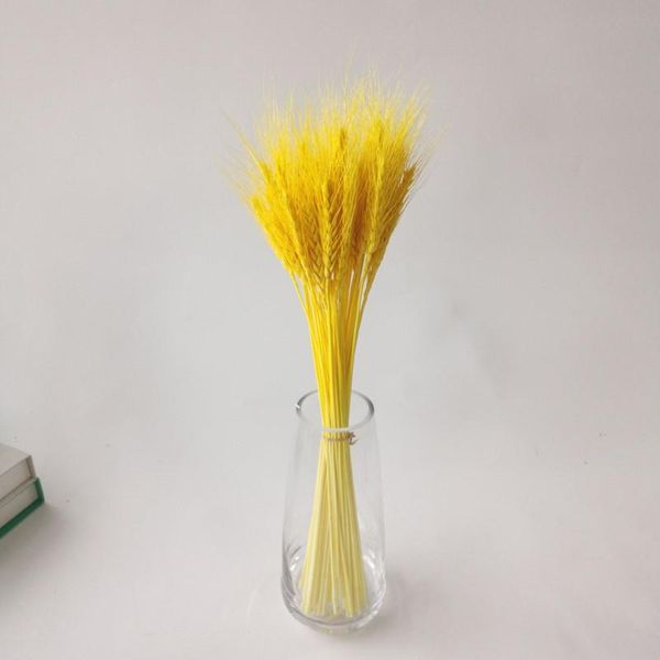 decorative flowers & wreaths natural dried flower wheat diy home decoration courtyard decor wedding party scene layout multicolor pastoral p
decorative flowers & wreaths natural dried flower wheat diy home decoration courtyard decor wedding party scene layout multicolor pastoral p