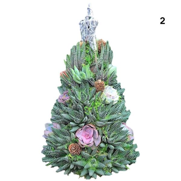 christmas decorations simulatied succulents tree ornament creative resin crafts for home living room garden decor mdj998
christmas decorations simulatied succulents tree ornament creative resin crafts for home living room garden decor mdj998