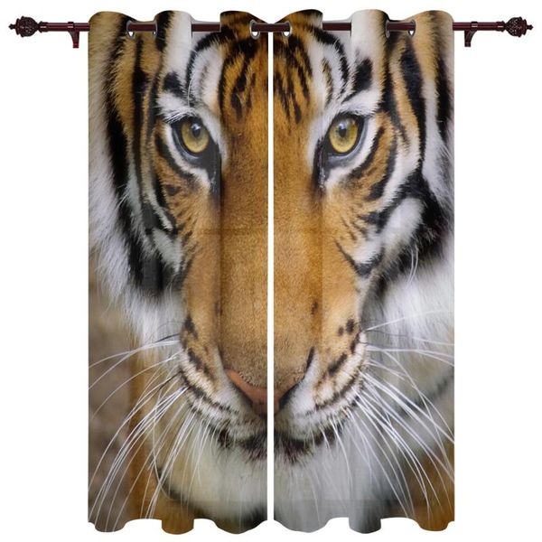 exquisite home curtains tiger carnivore living room bedroom kitchen translucent polyester decorative curtain & drapes
exquisite home curtains tiger carnivore living room bedroom kitchen translucent polyester decorative curtain & drapes