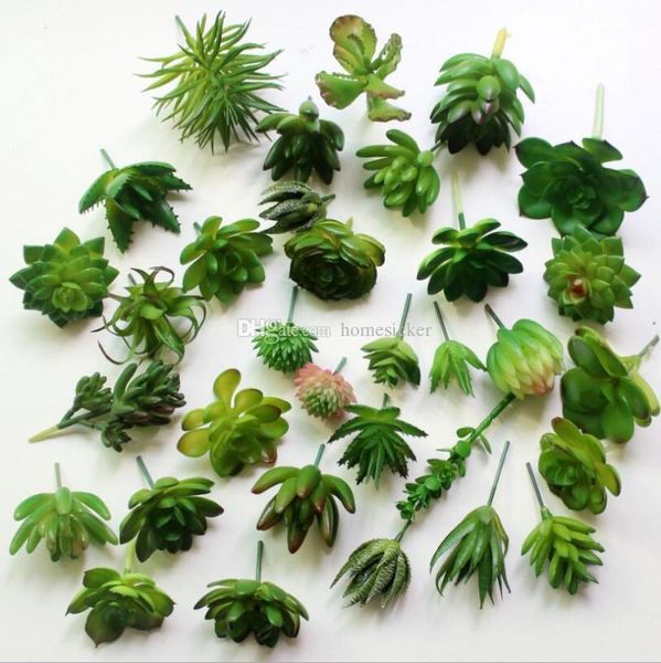 artificial succulent plants emulational cactus for office home table desk garden displayed mini flower decoration decorative flowers & wreat
artificial succulent plants emulational cactus for office home table desk garden displayed mini flower decoration decorative flowers & wreat