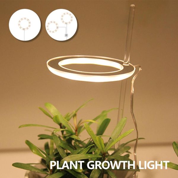 grow lights led plants full spectrum phyto lamp growth lighting usb 2w 5v widely used acrylic fish bowl plant
grow lights led plants full spectrum phyto lamp growth lighting usb 2w 5v widely used acrylic fish bowl plant
