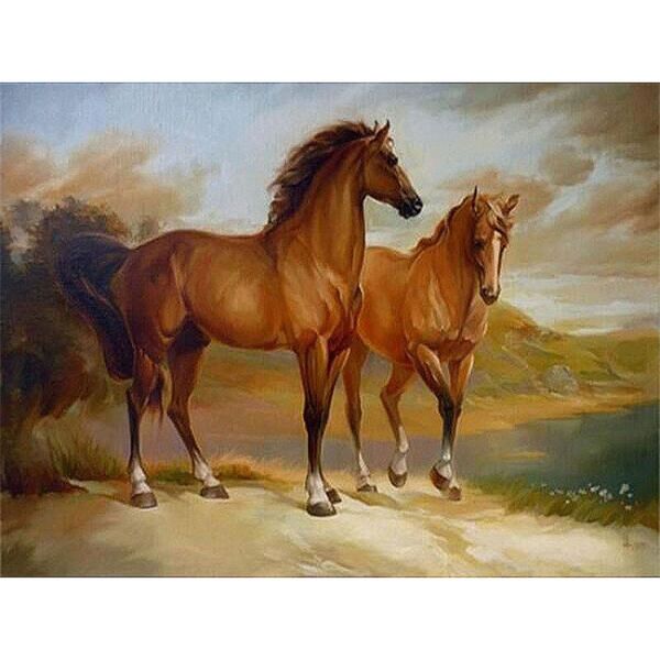paintings diy digital painting by numbers package two brown horses oil mural kits coloring wall art picture gift frameless
paintings diy digital painting by numbers package two brown horses oil mural kits coloring wall art picture gift frameless