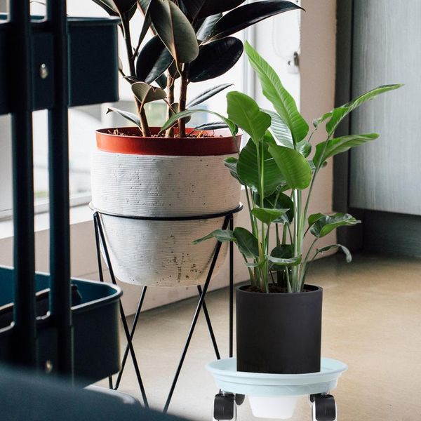 movable flower pot tray plastic plant with wheel round shape flowerpot pad base water box inside diameter 24cm planters & pots
movable flower pot tray plastic plant with wheel round shape flowerpot pad base water box inside diameter 24cm planters & pots