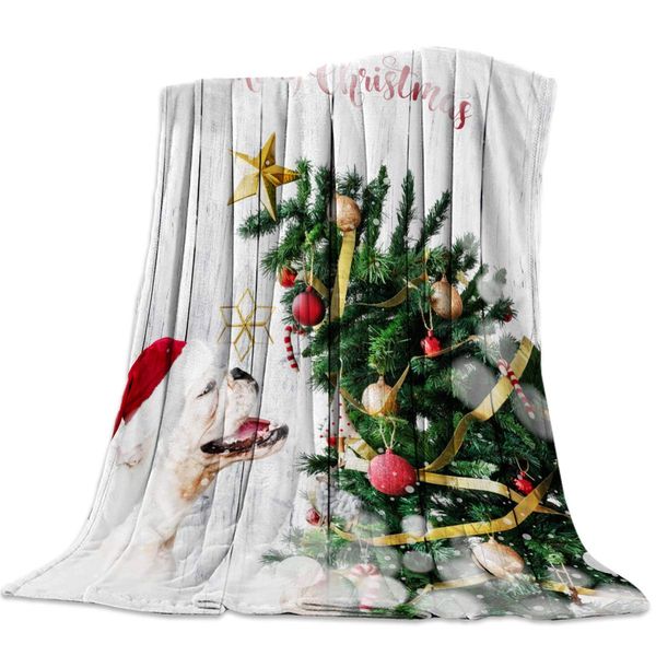 throw blanket for sofa couch- merry christmas dog and xmas tree 59 x 79 inche flannel bed blanket lightweight microfiber throw
throw blanket for sofa couch- merry christmas dog and xmas tree 59 x 79 inche flannel bed blanket lightweight microfiber throw