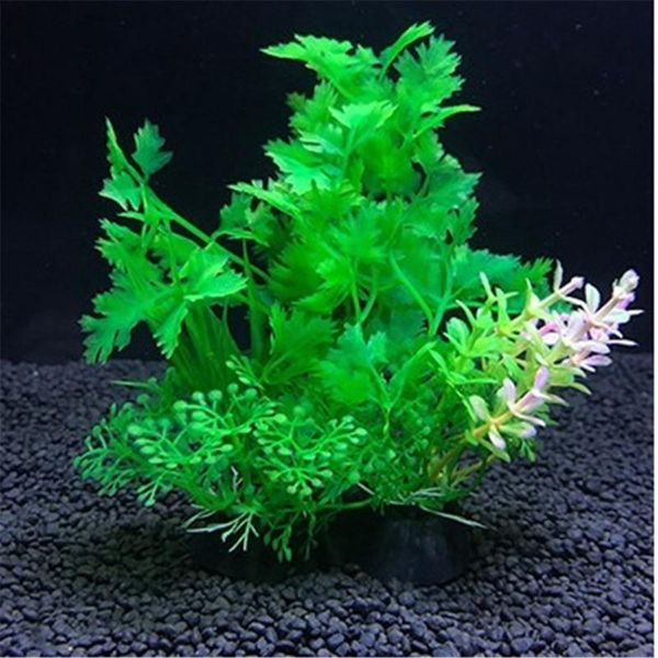decorations artificial plastic green plants narcissus water grass fish tank aquarium decor ornament viewing
decorations artificial plastic green plants narcissus water grass fish tank aquarium decor ornament viewing