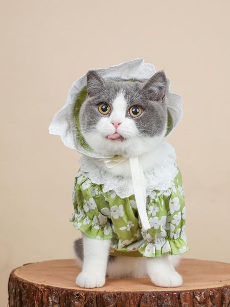 cat costumes pet clothing spring summer lace flower t-shirt for dogs teddy schnauzer pug small dog hoodies with hat puppy
cat costumes pet clothing spring summer lace flower t-shirt for dogs teddy schnauzer pug small dog hoodies with hat puppy