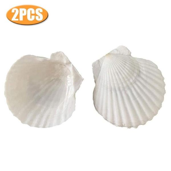 decorations 2pc big white scallop shell large hawaiian painting bbq diy graffiti on the wall fish tank
decorations 2pc big white scallop shell large hawaiian painting bbq diy graffiti on the wall fish tank