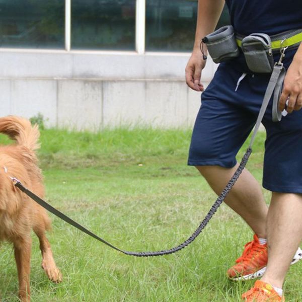 adjustable walking running waist belt training pet elastic hands outdoor dog leash set supplies reflective strip with bag collars & lea
adjustable walking running waist belt training pet elastic hands outdoor dog leash set supplies reflective strip with bag collars & lea