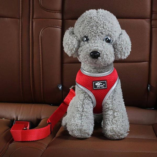 dog collars & leashes pet cat car seat belt adjustable harness seatbelt leash for small medium dogs travel clip petsuppliesdog collar access
dog collars & leashes pet cat car seat belt adjustable harness seatbelt leash for small medium dogs travel clip petsuppliesdog collar access